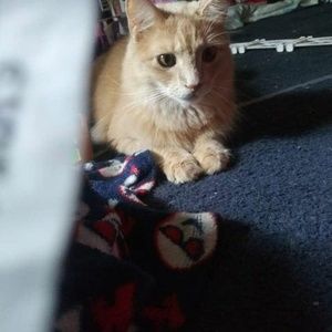 Meet your Posher, A'layla